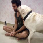 Malti Chahar Instagram – Our brave Denzo 🐶 and his saviour @deepak_chahar9 😂🤣❤️
#bestbuddies #love #labrador Agra, Uttar Pradesh