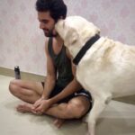 Malti Chahar Instagram - Our brave Denzo 🐶 and his saviour @deepak_chahar9 😂🤣❤️ #bestbuddies #love #labrador Agra, Uttar Pradesh