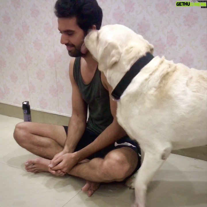 Malti Chahar Instagram - Our brave Denzo 🐶 and his saviour @deepak_chahar9 😂🤣❤️ #bestbuddies #love #labrador Agra, Uttar Pradesh