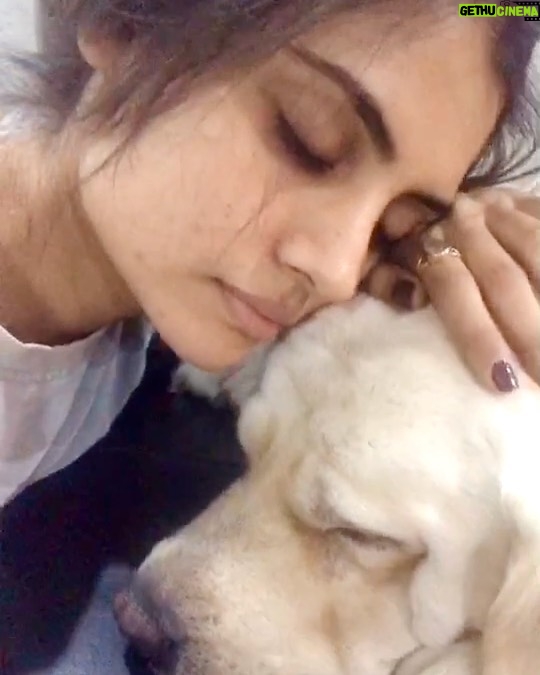 Malti Chahar Instagram - Denzo and me❤️ #tamil #song #nomakeup #nofilter Song says- Staring into my soul, making my heart sweat with drops of pearls, as this new life, brings me together with you. When you are with me & I am with you, we will become one, when the day of togetherness, will rise. When you are with me & I am with you, the day of togetherness, will rise❤️ #petlove