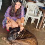 Malti Chahar Instagram - Who doesn’t like dogs!?🤷🏻‍♀️ Meet Euro- laziest dog I have ever met and he doesn’t give a Damn about anything..not even food!🙄 P.C.- @jyoti_chahar_03 #doglover #dogoftheday Goa, India