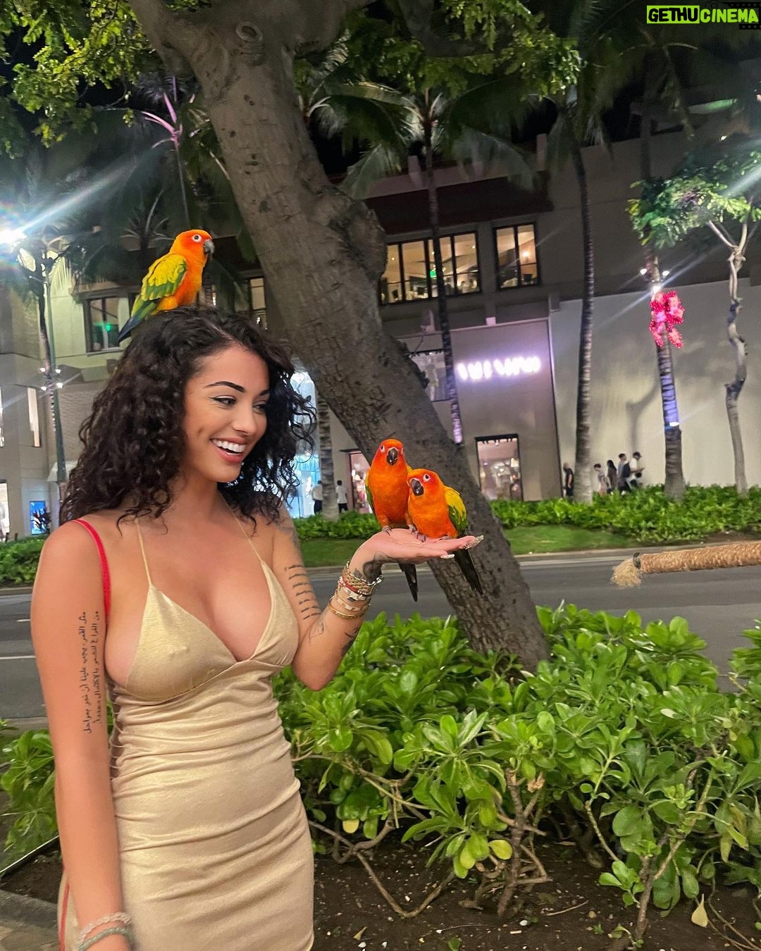 Malu Trevejo Instagram - Yo con los pajaritos we eating all the crumbs 2024 No crumbs left Honolulu, Hawaii
