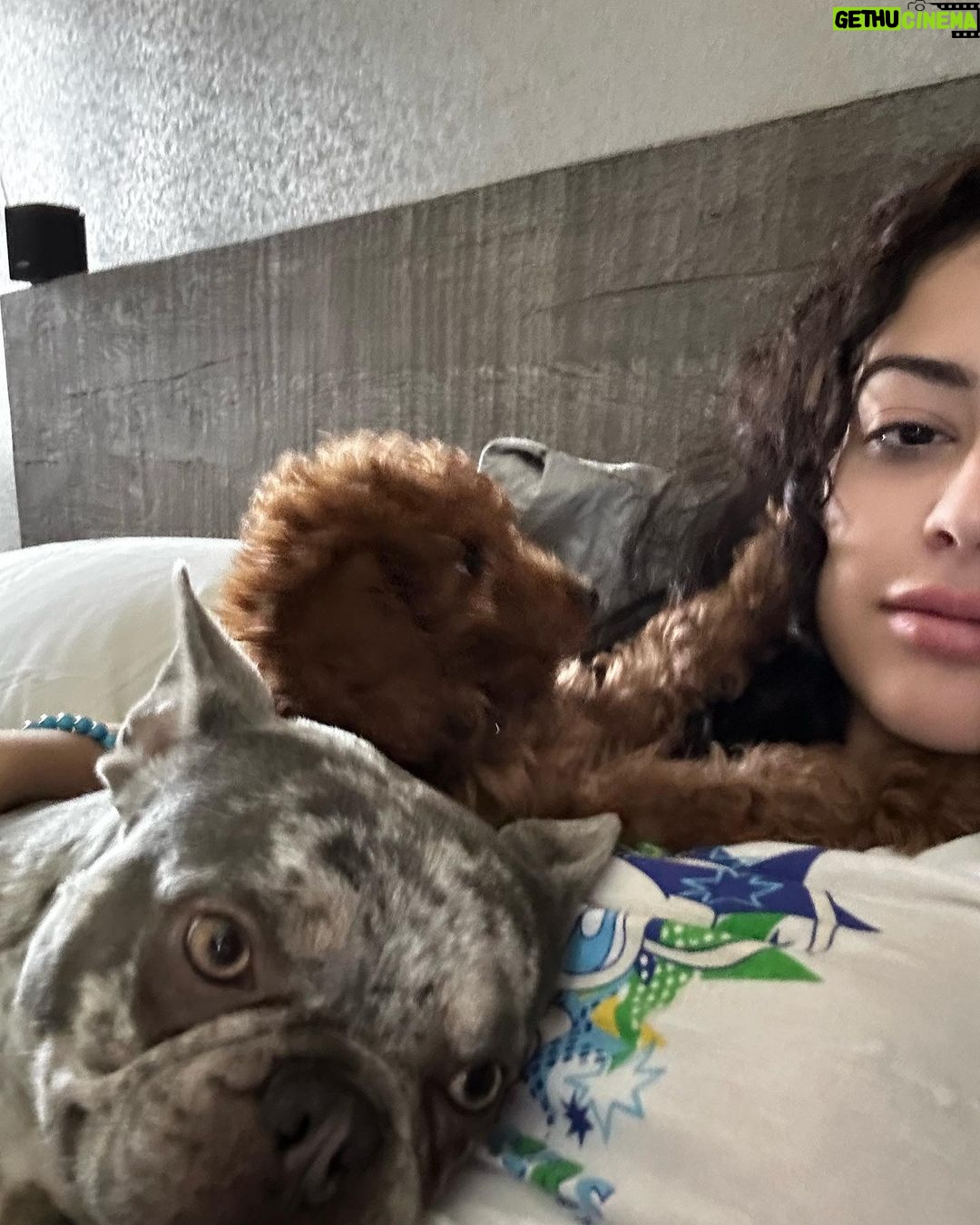 Malu Trevejo Instagram - Fun times October baby 🩷 horror nights 👻 Los Angeles, California