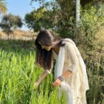 Malvika Sharma Instagram - 🌾