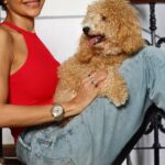 Mandira Bedi Instagram – The way he looks at me: NO ONE DOES!!! 😅🤪❤️ #Barkapoo 🐶 I count on him like he counts on me! ❤️
Photographed by @jitusavlani 🙏🏽❣️