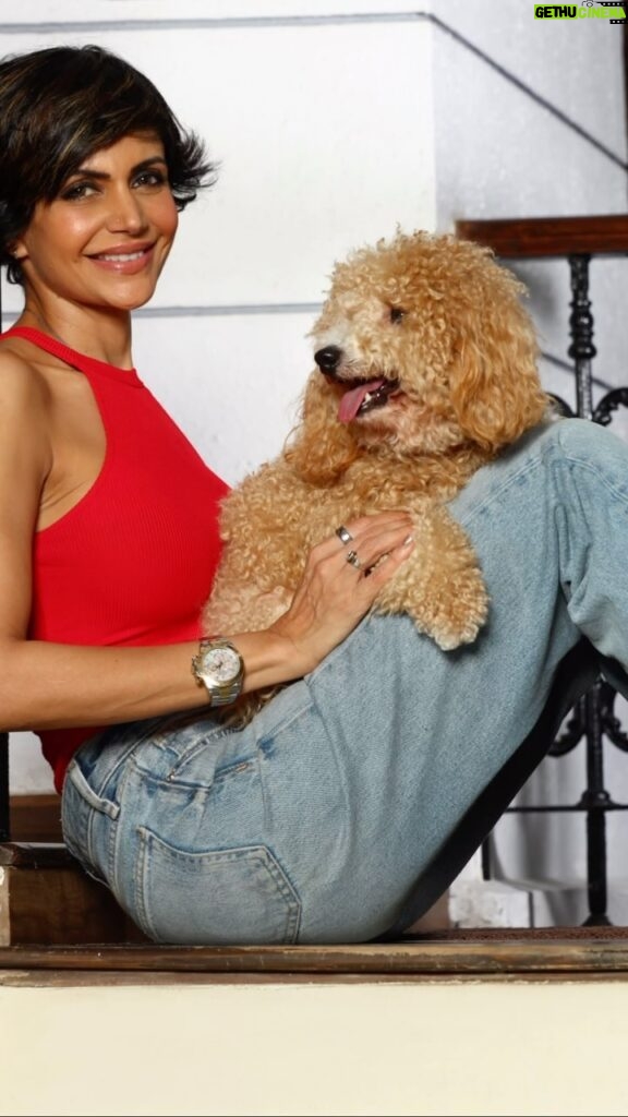 Mandira Bedi Instagram - The way he looks at me: NO ONE DOES!!! 😅🤪❤ #Barkapoo 🐶 I count on him like he counts on me! ❤ Photographed by @jitusavlani 🙏🏽❣