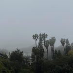 Manu Ríos Instagram - til next time X Los Angeles, California