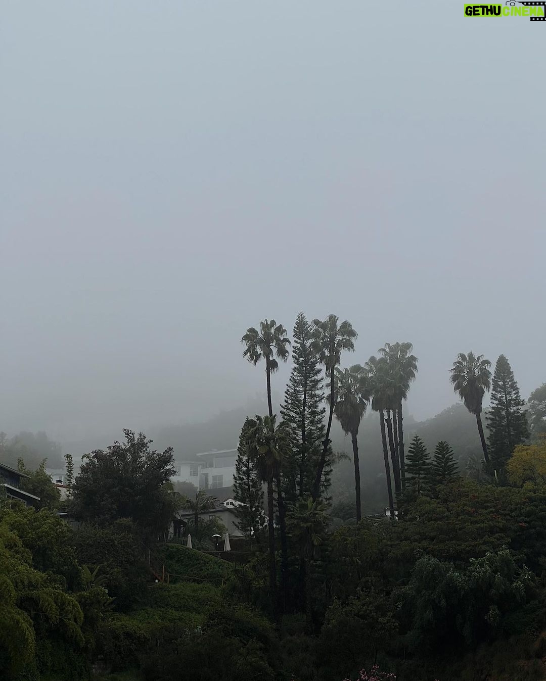 Manu Ríos Instagram - til next time X Los Angeles, California