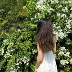 Manushi Chhillar Instagram - #Photodump 💚🩵🦩🦄🌴