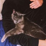 María Gabriela de Faría Instagram – Friday I’m in love ❤️🐱
Y mi esposo me va a matar por publicar esta foto 😅
Sorry @cmcgaffney , way too cute not to post.