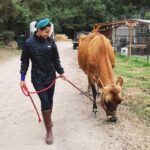 María Gabriela de Faría Instagram – #TBT of the first time I milked a cow 🐮

Back in 2020 Julia and Ryan from @blooming.energy invited Chris and I to stay at the farm (@dare2dreamfarms ) and work on the land for as long as we wanted to.
I left that place a different person and I will always be eternally grateful to them for giving me perspective.
The cow pooped on me, of course.
The chickens kept running into absolute death, don’t ask me why.
The goats threw parties whenever we weren’t looking. 
Poop, food scraps and all that organic “waste” was gold.
We found corpses of animals all around and I finally understood there’s not life (or food) without death.

I went there a city vegan and I left with a huge identity crisis 🤣 but convinced that my personal path was caring about the how more than the what.
How you eat vs what you eat.

Controversial topic.
Life expanding identity crisis for me ❤️
•
•
•
#TBT de la primera vez que ordeñé una vaca 🐮

En el 2020, Julia y Ryan de @blooming.energy nos invitaron a Chris y a mí a quedarnos en la granja y trabajar en la tierra todo el tiempo que quisiéramos.
Me fui de ese lugar como una persona diferente y siempre les estaré eternamente agradecida por regalarme perspectiva.

La vaca se me cagó encima, por supuesto.
Las gallinas corrían hacia la muerte absoluta todo el tiempo, no me pregunten por qué.
Las cabras hacían fiestas cuando no mirábamos.
La caca, los restos de comida y todos esos “desechos” orgánicos eran oro.
Encontramos cadáveres de animales por todas partes y finalmente entendí que no hay vida (ni comida) sin muerte.

Entré a la granja vegana de ciudad y salí con una crisis de identidad enorme 🤣 pero convencida de que mi camino personal era preocuparme/ocuparme por el cómo más que por el qué.
Cómo comes versus qué comes.

Tema controversial.
La crisis existencial que me expandió ❤️