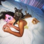 María Gabriela de Faría Instagram - Vitamin C(at) 📸 Le Father of the cats @cmcgaffney