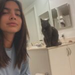 María Gabriela de Faría Instagram - Buenos días from my partner in crime ❤️🐱🐀 #EleanorRigby Miami, Florida