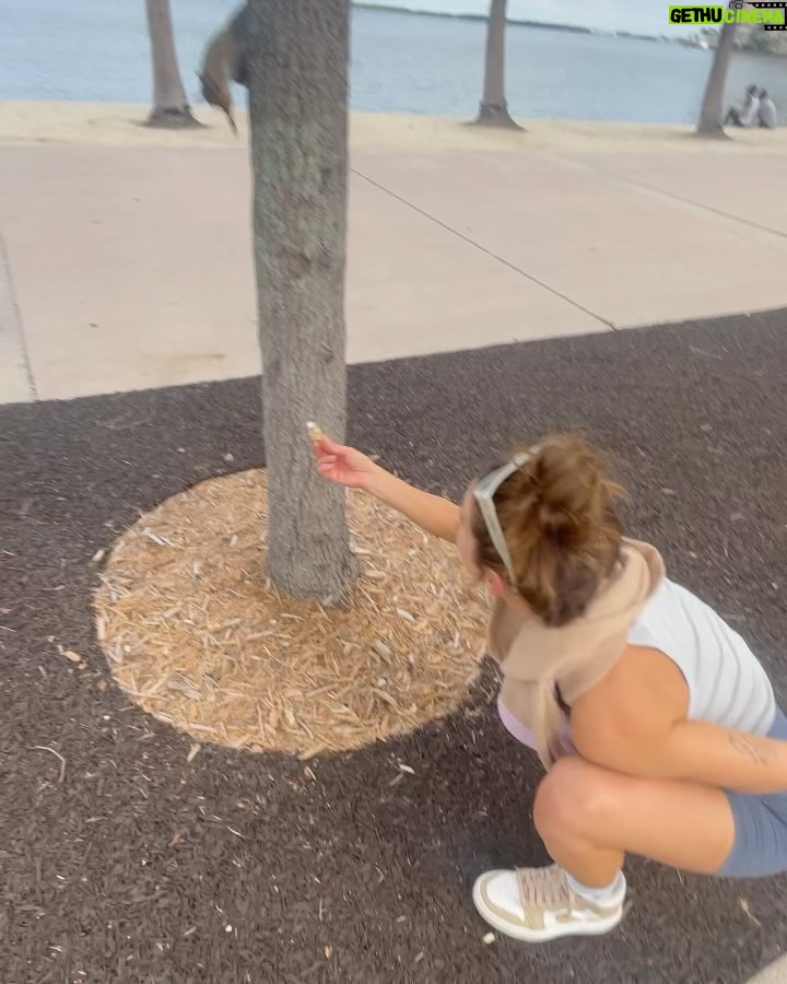 María Pedraza Instagram - once upon a time in Miami ✨🌴🌞 presentando “Awareness” 🥹🥹🥹 en @primevideoes Miami, FL, USA