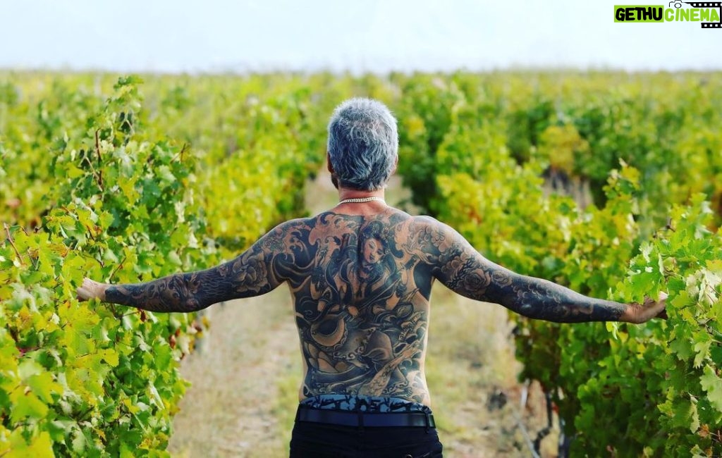 Marcelo Tinelli Instagram - Amor por nuestros viñedos en Mendoza. @lorenzodeagrelo @hernandelaurente @matitomasvino @nvsomme . FEDE/LORENZO/MÁRTIR/LO ❤️🍷 ph @nachogaffuri