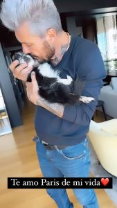 Marcelo Tinelli Instagram - Hoy me toca despedir a mi amada perrita Paris, que ya no dá más y con 18 añitos, está con su cuerpito y sus órganos dañados. Gracias a Patricia Barahona por darle tanto amor en todos estos últimos años. Necesitaba verla, tocarla, hablarle. Fue testigo de innumerables momentos hermosos de mi vida junto a @mariapaularobles314 @micatinelli @candelariatinelli @frantinelli1 y @juanittinelli1 . La llevaré, el día que le toque partir físicamente, siempre dentro de mi corazón ♥️ 💔😢