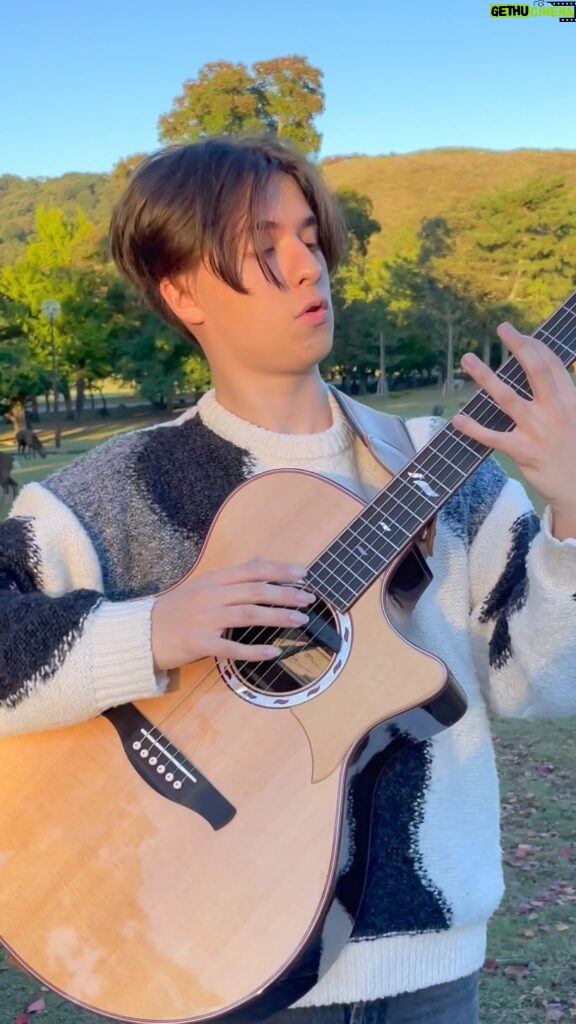 Marcin Patrzalek Instagram - Serenading the deer in Japan on my new guitar 🙇‍♂️ #guitar #japan #nara