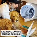 Marcos Mion Instagram - PRA ETERNIZAR O AMOR COM SEU DOGUINHO 🫶🏻🐶 . Marque aqui quem vai gostar dessa dica ☺️