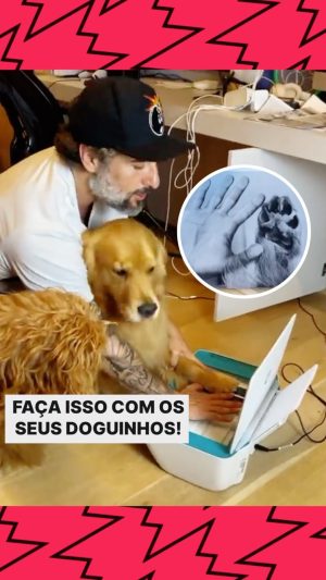 Marcos Mion Instagram - PRA ETERNIZAR O AMOR COM SEU DOGUINHO 🫶🏻🐶
.
Marque aqui quem vai gostar dessa dica ☺️