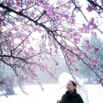 Marimar Vega Instagram - Cherry blossoms, nieve y una niña muy feliz @leicacameramx 📸. Japón - 日本