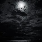 Marimar Vega Instagram – Hace 3 años esa luna llena en leo nos transformó  la vida ✨🙏💕
Feliz luna llena ♌️