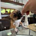 Marina Ferrari Instagram - Achadinhos do rolo de câmera dessa semana maravilhosa 😻🫶🏽 Rio de Janeiro, Rio de Janeiro