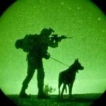 Mario Cimarro Instagram - Repost from @michaelbay • Trying to give a voice to those that can’t speak. This video represents War Dogs. Animals need a voice! I cut this together from some amazing photographers images. Someone high up told our amazing soldiers, to leave them behind. Thought we never leave a man behind? Maybe that was the case a long time ago.