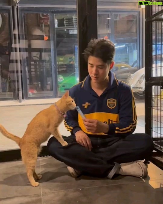 Mario Maurer - 136K Likes - Girls