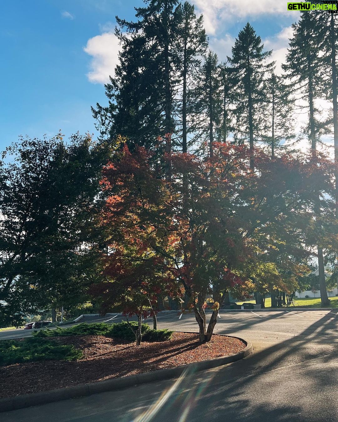 Marisol Nichols Instagram - Fall's palette is in full bloom.🍁