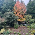 Marisol Nichols Instagram - Fall's palette is in full bloom.🍁