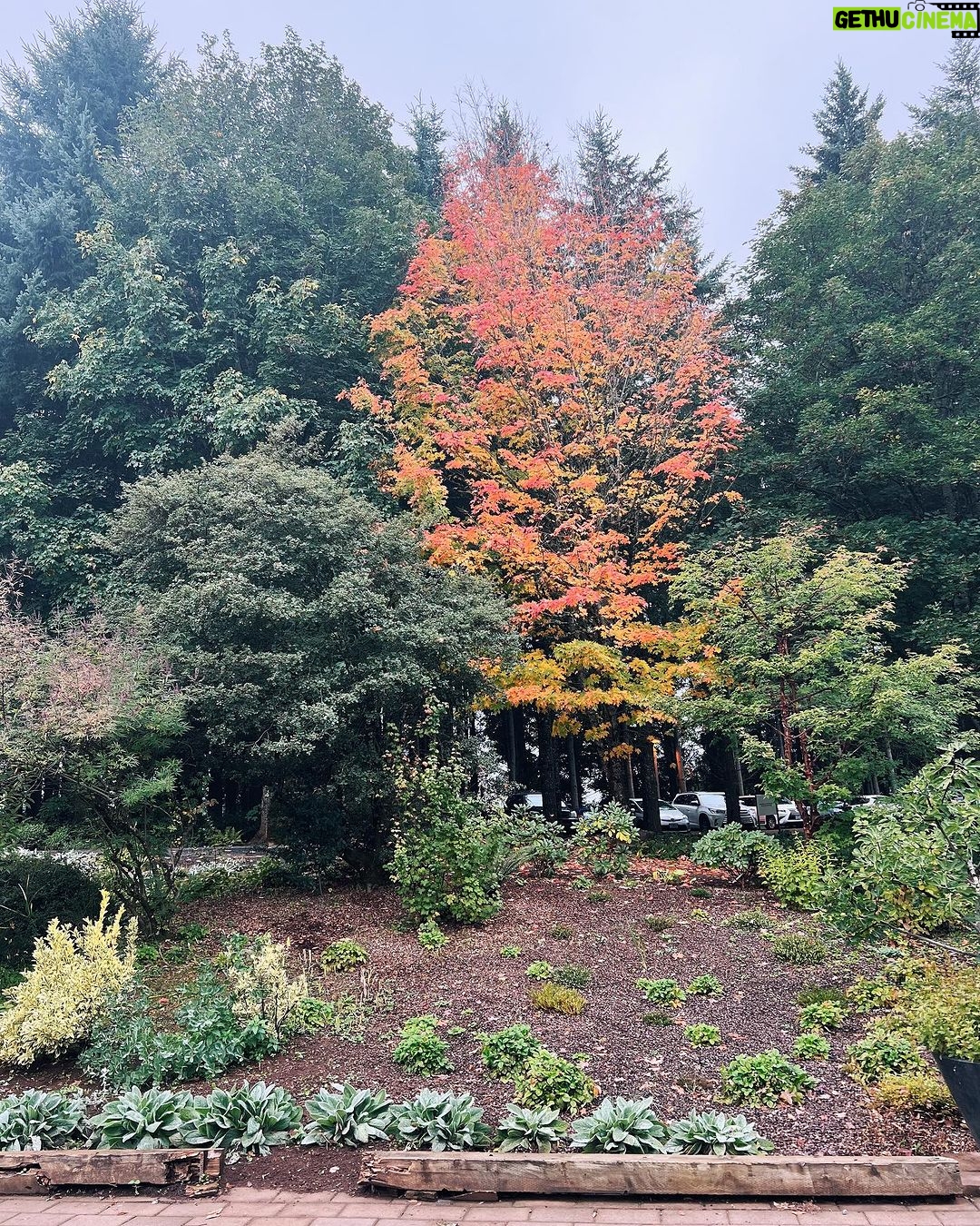 Marisol Nichols Instagram - Fall's palette is in full bloom.🍁