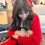 Marisol Nichols Instagram - Christmas came early!!! 🌲🌲🌲 Meet Butterscotch ♥️🐶♥️ I’m overwhelmed with happiness! #puppy #christmaspuppy #dogsofinstagram