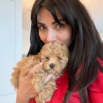 Marisol Nichols Instagram - Happy #nationalpuppyday🐶