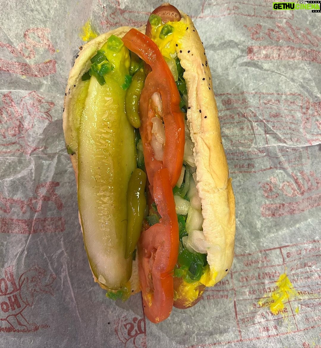 Marisol Nichols Instagram - So much ♥️ for my Chicago favorite fast food @portilloshotdogs No they’re not paying me for this and yes there’s a dog in there Hot dog 🌭 Italian beef Best chocolate cake ever #chitowngirl