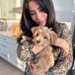 Marisol Nichols Instagram – Obsessed with my friend @nicole.tabs pup. 
Meet the adorable @captainlouisv