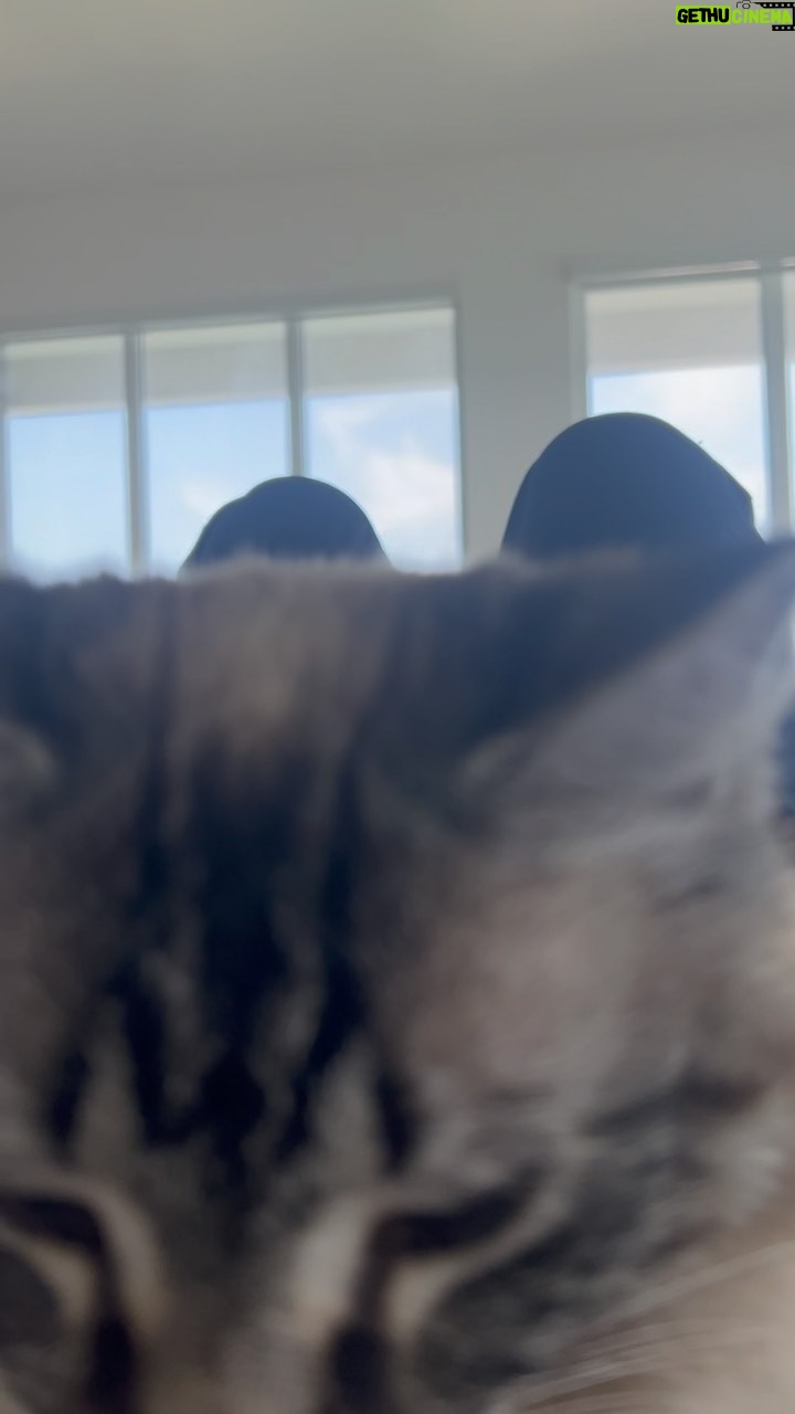 Marisol Nichols Instagram - Anyone else’s cat THIS loud? 🐱😂 Sound on