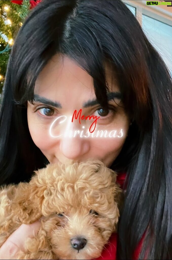 Marisol Nichols Instagram - I hope you don’t get tired of my Christmas puppy posts. He’s the first puppy I’ve ever had…I promise I’ll chill out soon 🌲♥️🎄 just head over heels 🥺♥️