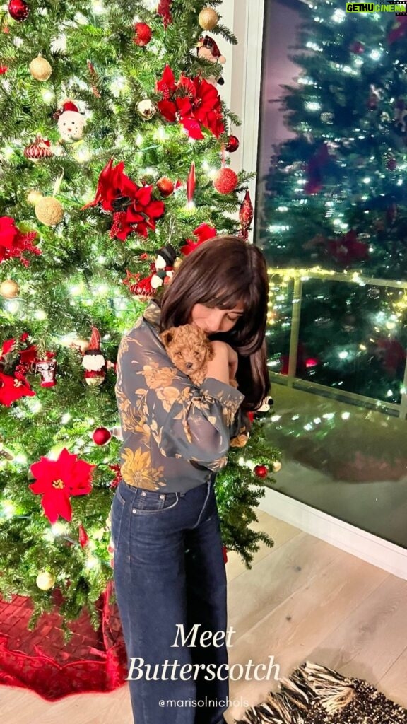 Marisol Nichols Instagram - Our newest member of the family…Butterscotch May your Christmas be filled with cuddles and kisses 🌲♥️ Merry Christmas! #christmaspuppy