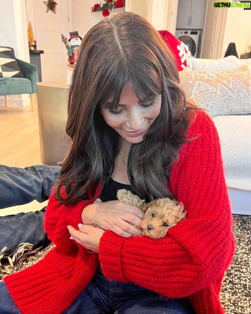 Marisol Nichols Instagram - Christmas came early!!! 🌲🌲🌲 Meet Butterscotch ♥️🐶♥️ I’m overwhelmed with happiness! #puppy #christmaspuppy #dogsofinstagram