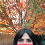 Marisol Nichols Instagram - Fall has never looked so good🍂