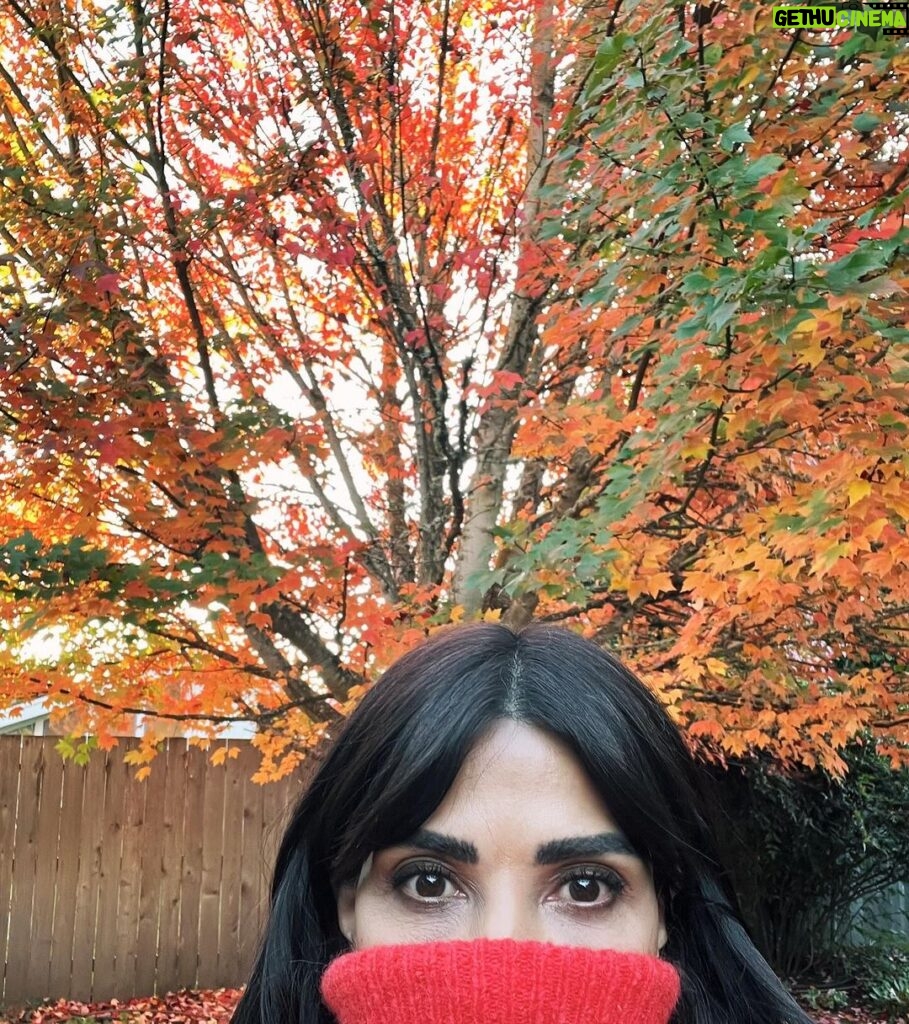 Marisol Nichols Instagram - Fall has never looked so good🍂