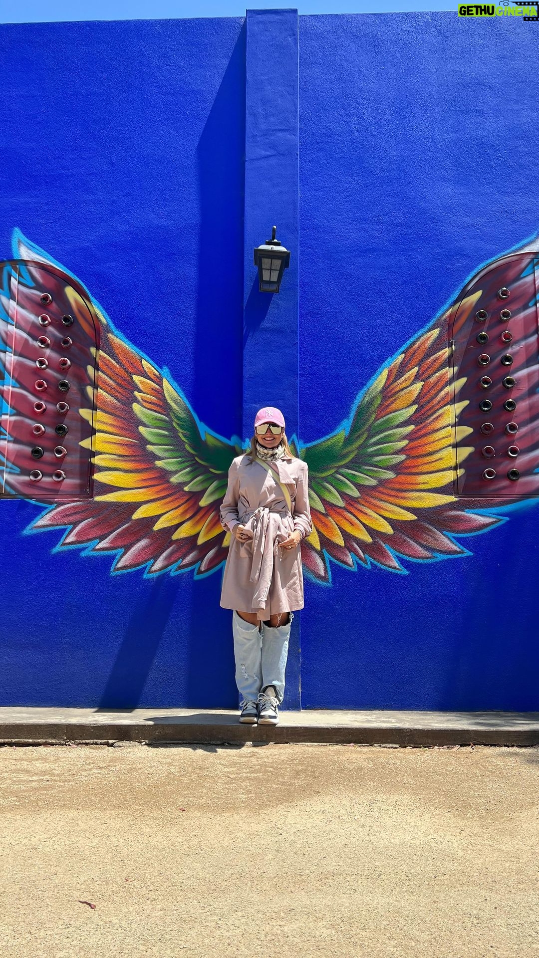 Marjorie de Sousa Instagram - Amo este lugar 😍 @grizdel @casafridavallegpe 🦋 Casa FRIDA Valle de Guadalupe