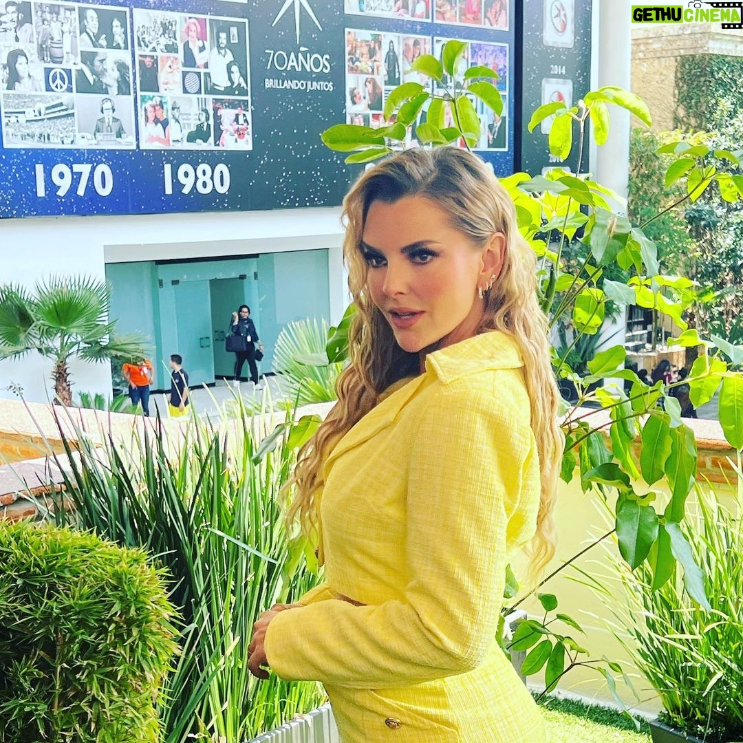 Marjorie de Sousa Instagram - 1 JUNIO 🌻🌻🌻 🌻🌻🌻🌻🌻🌻🌻@golpedesuertetv 🌻🌻 @alamode.mx @granvia.mx @enricobompani