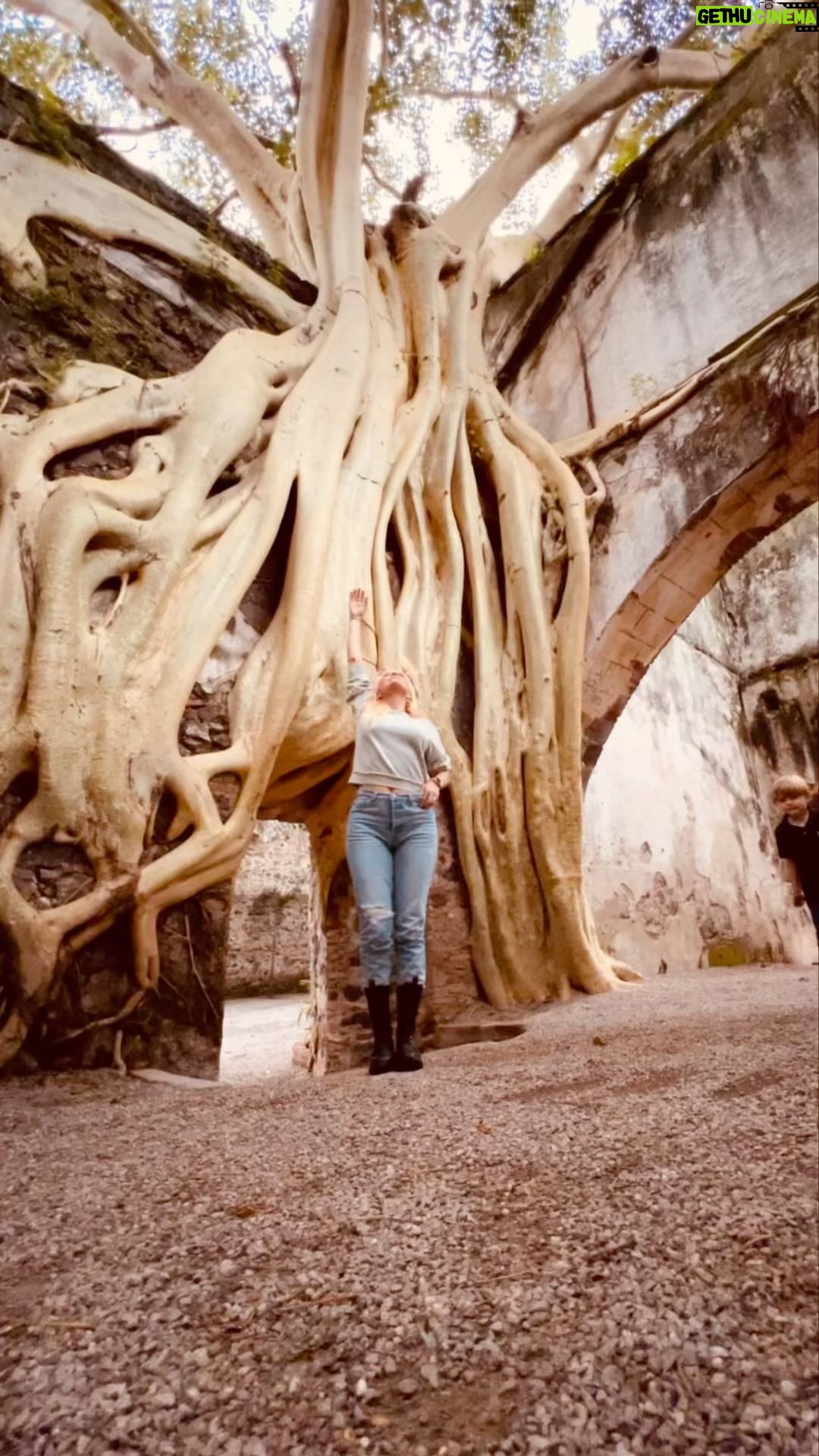 Marjorie de Sousa Instagram - Hermoso DomingoπͺβοΈπππ«Άπ»ππππ