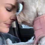 Marjorie de Sousa Instagram - ¡Hola mi familia de PETA Latino! 🌟 Soy Marjorie de Sousa y me llena de felicidad compartirles la historia de Luna en esta Navidad. 🐾❤️ Luna, mi perra de compañía, llegó a casa tímida y con miedo, pero en horas su amor nos conquistó a todos y nuestro amor la ayudó a salir de su miedo. Esta es la realidad de millones de perros y gatos, que están en refugios, en las calles 😔 o en situación de abandono total en nuestros países esperando por humanos que les den una oportunidad de ser un miembro de su familia. 🐶🫶🐱 En el día de #Navidad, la compasión y el amor es lo que más abunda! Asegúrate de extender este amor con nuestros animales de compañía, sobre todo respetar la vida de estos seres especiales 🥰y recuerda siempre la importancia de ADOPTAR y no comprar. Enseñemos a nuestros hijos el valor de dar cariño a los que lo necesitan, y nunca compres un animal! 🎄🐾 #AdoptaConAmor #AdoptDontShop #seamosresponsables #porlosquenotienenvoz #Luna Gracias @yael__ruiz por ayudarme hacer esto posible y regalarle un hogar a Luna y a nosotros un Ángel 😍 🙌🏻❤️ Gracias Equipo @alepalomera1 #Alicia por un año más de su mano @officialpetalatino @palomeragroup @mediaconceptspr @julianhairstudio @juansousaofficial @angelramoos @benditoclosetstyle por siempre estar 🥰😍🙌🏻🙏🏻