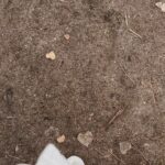 Marjorie de Sousa Instagram - 🧊🌾❄️💛