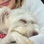 Marjorie de Sousa Instagram - Hace unos días vi un caso en las redes de @yael__ruiz y luego en las noticias de un departamento donde encontraron a muchos perritos en muy malas condiciones, luego de que los rescataron a todos vi a Mérida en una foto con @yael__ruiz y le comenté a mi mamá si le gustaría adoptar ya que tenemos a cuqui y creemos que le hace falta un hermanit@, bueno pues vi la foto de Mérida y cuando fui a buscarla ya tenían gente que la quería adoptar 😕 dije; no es para nosotros 🤷🏼‍♀️ el caso es que luego de los días Ana que es quien tenía a Mérida me comenta que Mérida seguía en casa de ella y que si quería verla 😃 fui a verla y literal me conquistó😍 tiene una hermosa personalidad, es amorosa, buena compañera, juega muy fuerte pero es que estaba acostumbrada a perros grandes. Por lo que ya estamos entrenando a cuqui y a ( Mérida ) ahora Luna para q puedan convivir. Ver su miedo al llegar a un lugar distinto, después de saber que pasaron cosas muy feas y que ahora si tendrá familia que la ame, para ella fue como un sueño. En la madrugada se despertaba y me tocaba la cara con su pata y me miraba fijamente como diciendo gracias 🥺 y ver como conecto con Matías y con todos en casa es un regalo 😍😍😍 es muyyyyyy especiallllll ❤️ Gracias @yael__ruiz y #Ana @adopta.mx por su ayuda Hoy luna tiene un lugar calientito y lleno de Amor 🥰😍😘 ADOPTA 🙏🏻🙏🏻🙏🏻 ADOPTA 🥰🙏🏻 ADOPTA 🥰🙏🏻❤️