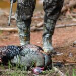 Mark Calaway Instagram - It was at that moment “Tom” realized he had made a very big mistake! I would like to thank @tylerjordan and @realtreeoutdoors for the excellent turkey hunt! I’m definitely hooked and can’t wait to do it again! #retayshotguns #realtree365 #theofficalbonecollector #realtreeroadtrips #ninelineapparel #mikewaddell Alabama