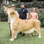 Mark Calaway Instagram - Big thanks to @docantle & @myrtlebeachsafari for showing us a great time today!