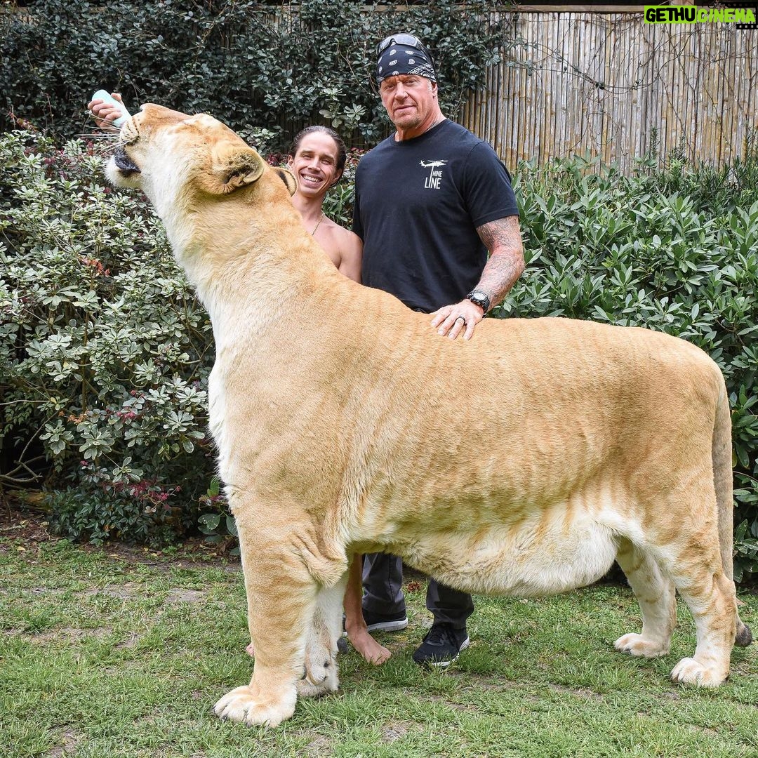 Mark Calaway - 485.9K Likes - Big thanks to @docantle & @myrtlebeachsafari for showing us a great time today!